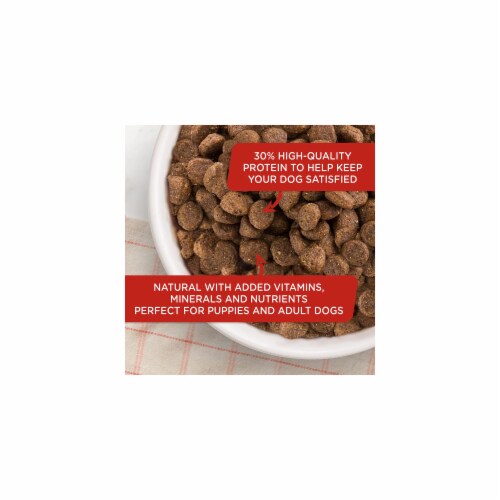 Rachael ray nutrish peak natural grain free dry dog food outlet