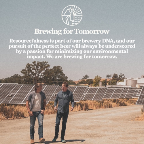 Firestone Walker Mind Haze Hazy IPA Craft Beer Cans Perspective: bottom