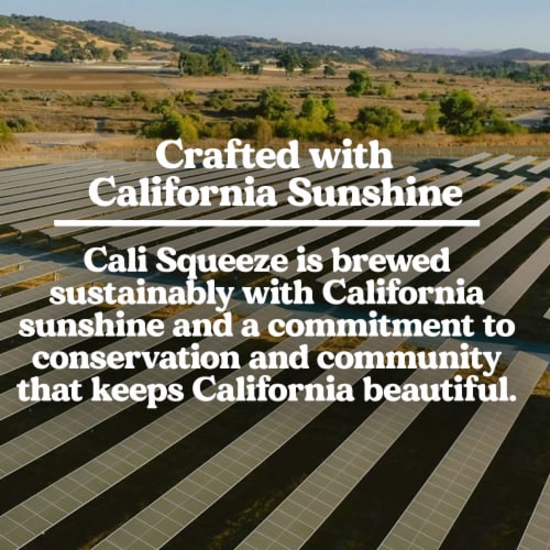 Cali Squeeze Citrus Wheat Ale Craft Beer Variety Pack Perspective: bottom