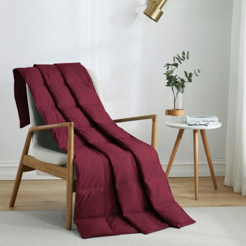 Puredown Natural Ultrafeather Down Throw Blanket 50X70 Peach Skin Fabric Navy 50 x 70 Smith s Food and Drug
