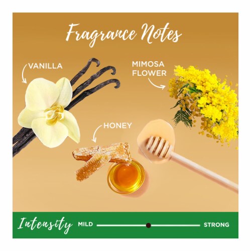 Garnier Whole Blends Honey Treasures Hair Remedy Healing Conditioner Sulfate Free Perspective: bottom