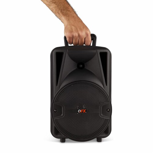 Qfx portable hot sale bluetooth speaker