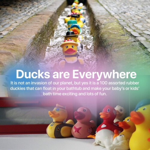 2 cheap rubber ducks