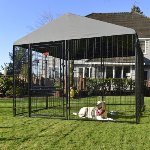 Lucky Dog STAY Series 10 x 10 x 6 Foot Roofed Steel Frame Villa
