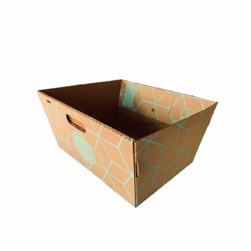 Cats desire disposable litter boxes hotsell