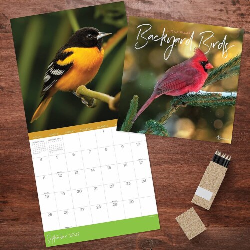 2022 Backyard Birds 12 Month Wall Calendar by TF Publishing Perspective: bottom