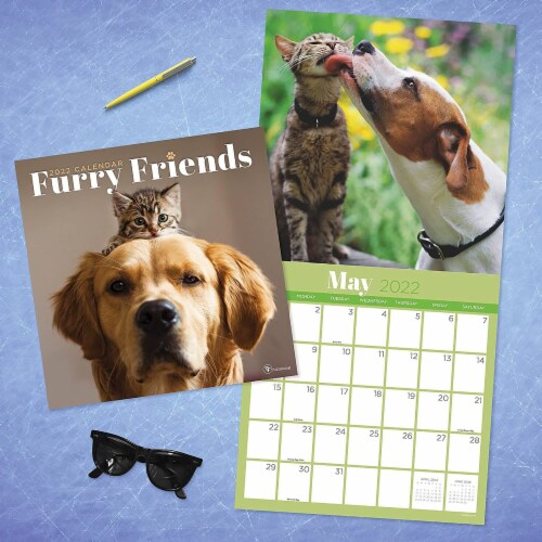 2022 Furry Friends Wall Calendar by TF Publishing Perspective: bottom