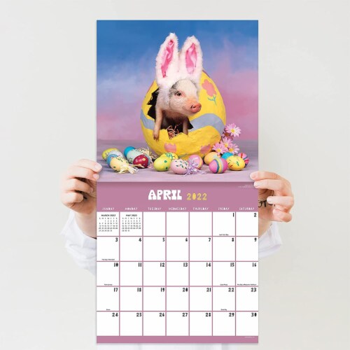 2022 Playful Pigs Wall Calendar by TF Publishing Perspective: bottom