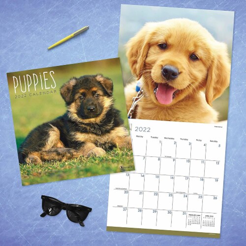 2022 Puppies 12 Month Wall Calendar by TF Publishing Perspective: bottom