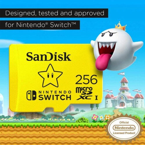 Sandisk on sale switch 256