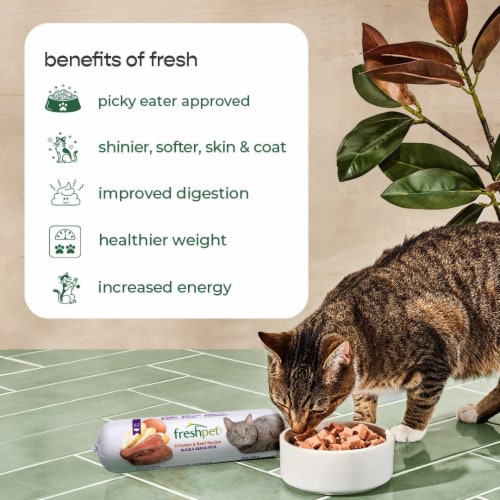Freshpet Select Moisture Rich Tender Bites Tender Chicken Recipe Cat Food Perspective: bottom