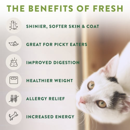 Freshpet Select with Salmon Grain Free Gourmet Pate with Salmon Cat Food Perspective: bottom