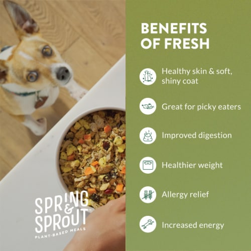 Freshpet Spring & Sprout Plant-Based Protein & Cage-Free Egg Recipe Dog Food 1.2 lb Perspective: bottom