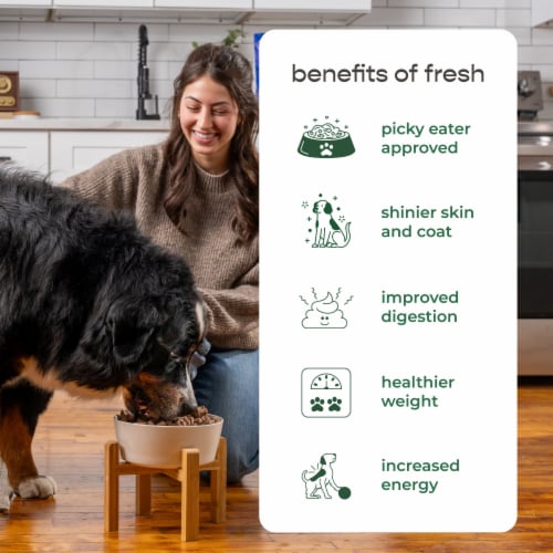 Freshpet Healthy & Natural Large Dogs/Breeds Dog Food, Fresh Multi Protein Recipe Perspective: bottom