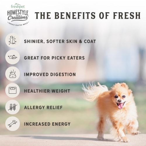 Freshpet Homestyle Creations Chicken & Turkey with Veggies Fresh Dog Food, 2lb Perspective: bottom
