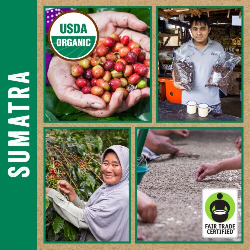 Boulder Organic Coffee® Fair Trade Organic Sumatra Medium Roast Coffee Perspective: bottom