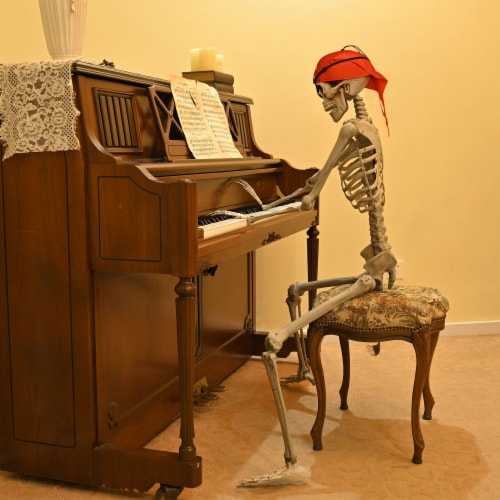 5.4ft Full Body Skeleton Props w/ Movable Joints for Halloween Party Decoration Perspective: bottom