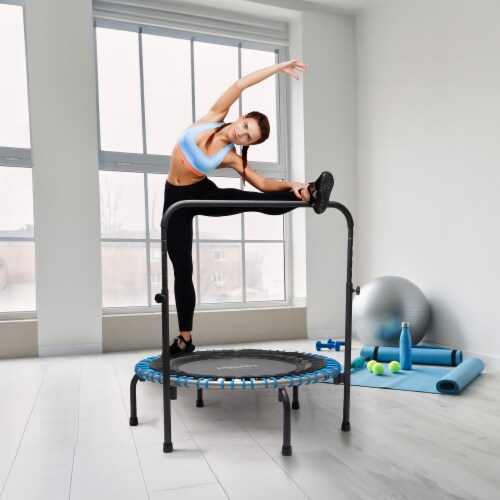 JumpSport 350 Series 39 Trampoline Handle Bar with Adjustable Bungees Teal 1 Piece Pick n Save