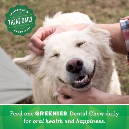 Greenies™ Grain Free Large Dog Natural Dental Treats Perspective: bottom
