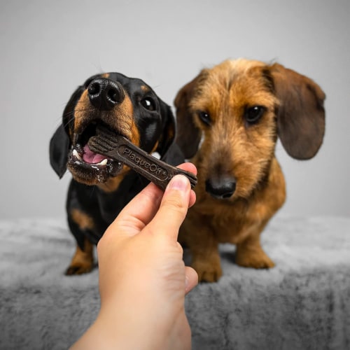 ProDen PlaqueOff System Mini Dental Care Bones For Small & Toy Breed Dogs Vegetable Perspective: bottom