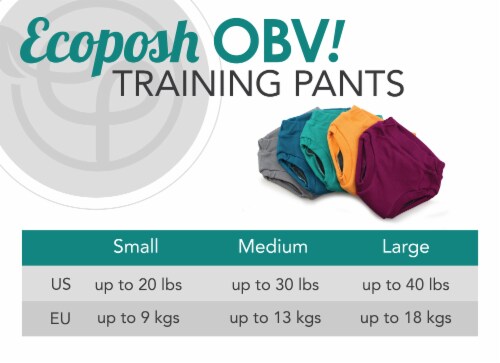 Ecoposh OBV Training Pants | Saffron (Yellow) Medium 2T/3T Perspective: bottom
