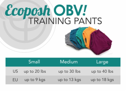 Ecoposh OBV Training Pants | Glacier (Gray) Medium 2T/3T Perspective: bottom