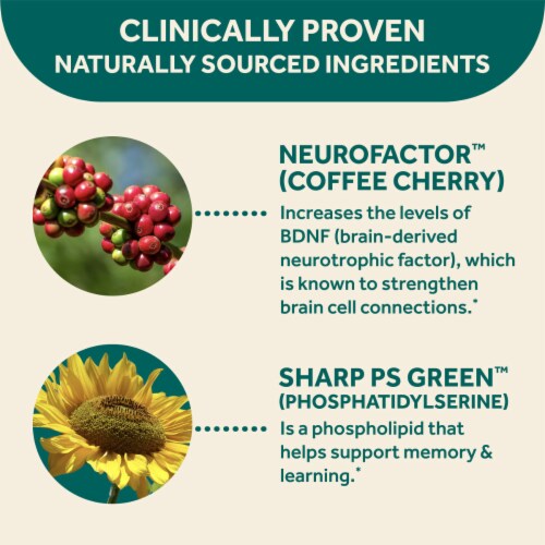 Neuriva Original Grape Flavored Brain Performance Gummies Perspective: bottom