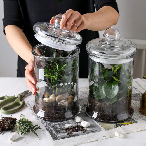 Glass Canister Set for Kitchen & Bathroom, Apothecary Food Storage