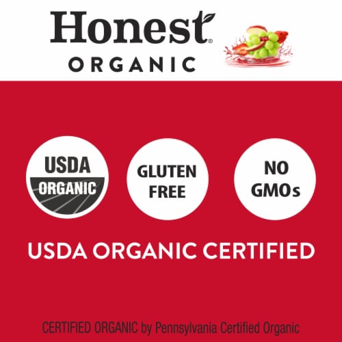 Honest Kids Super Fruit Punch Organic Fruit Juice Perspective: bottom