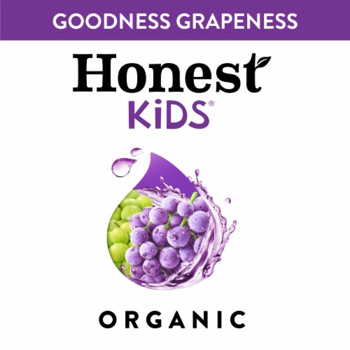 Honest Kids Goodness Grapeness Grape Fruit Juice Perspective: bottom
