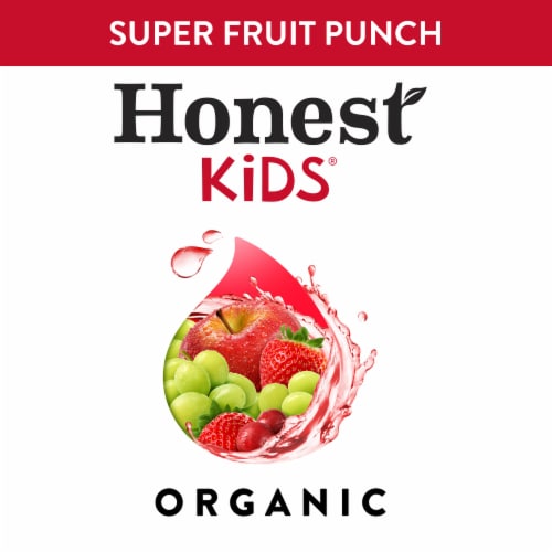 Honest Kids Super Fruit Punch Organic Fruit Juice Perspective: bottom