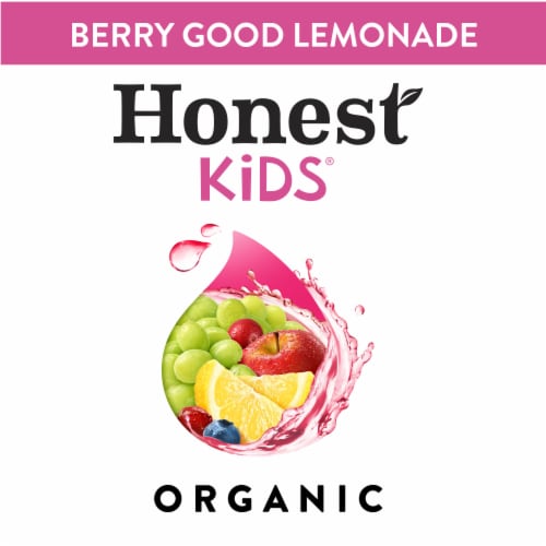 Honest Kids Berry Berry Good Lemonade Organic Fruit Juice Drink Perspective: bottom