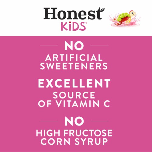 Honest Kids Berry Good Lemonade Organic Fruit Juice Perspective: bottom