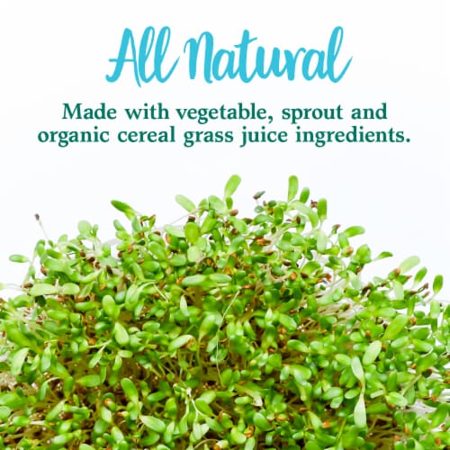 Garden of Life Perfect Food Super Greens, Superfoods, Alfalfa, Wheat Grass, Probiotics Powder Perspective: bottom