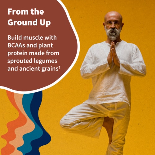 Garden of Life Raw Organic Protein to Help Build Muscle 22g Plant Based Protein Vanilla Chai Powder Perspective: bottom