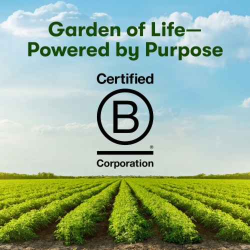Garden of Life Organic Plant Protein Grain Free Gluten Free 15g Protein Smooth Vanilla Powder Perspective: bottom