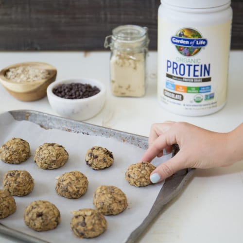 Garden of Life Organic Protein Shake to Help Build & Maintain Muscle 20g Protein Chocolate Powder Perspective: bottom