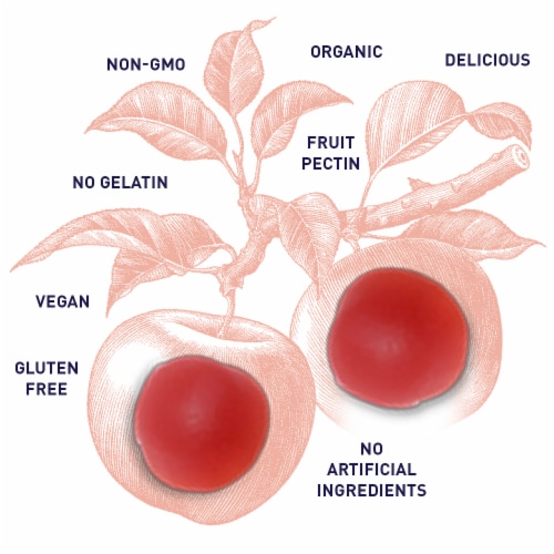 Garden of Life Organics Apple Cider Vinegar Vegan Gummies Original Perspective: bottom