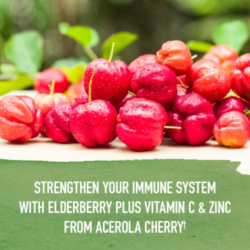 Garden of Life Organics Cough & Mucus Immune Syrup, Elderberry, Echinacea, Zinc, Vitamin C Liquid Perspective: bottom