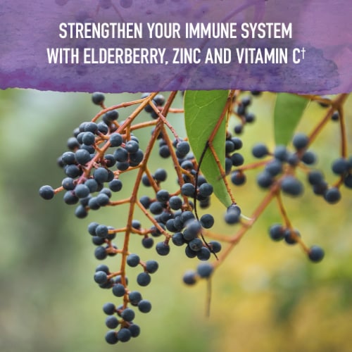 Garden of Life Organics Elderberry & Sleep Immune Syrup, Zinc, Vitamin C, No Added Sugars, Liquid Perspective: bottom