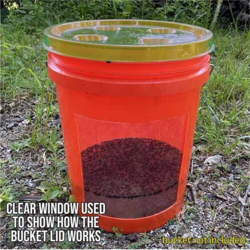 Fly shop trap bucket