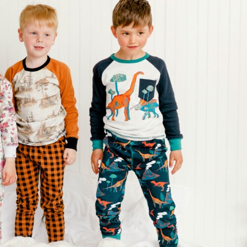 Organic Cotton Two Piece Pajama Set With Dinosaur Print, 3 - Kroger