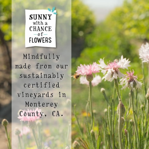 Sunny with a Chance of Flowers Bubbly Rosé Perspective: bottom
