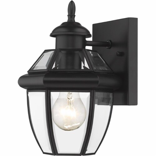 Z-Lite Westover 11  Clear Glass Brass Outdoor Wall Sconce in Black Perspective: bottom