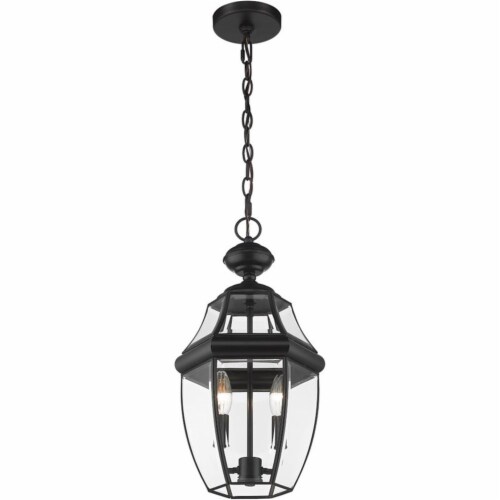 Z-Lite Westover 2 Light Clear Glass Brass Outdoor Chain Mounted Pendant in Black Perspective: bottom