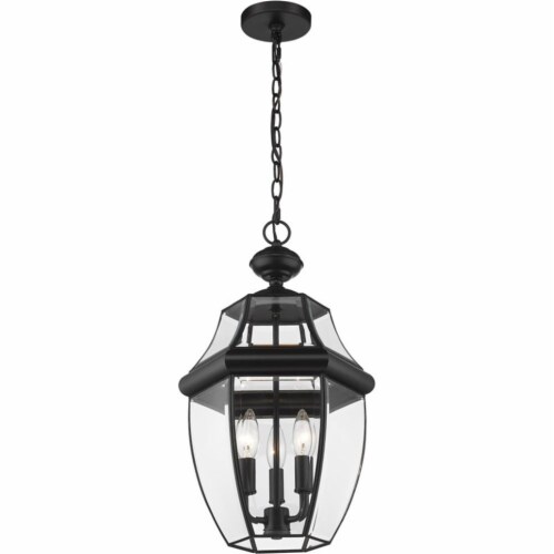 Z-Lite Westover 3 Light Clear Glass Brass Outdoor Chain Mounted Pendant in Black Perspective: bottom