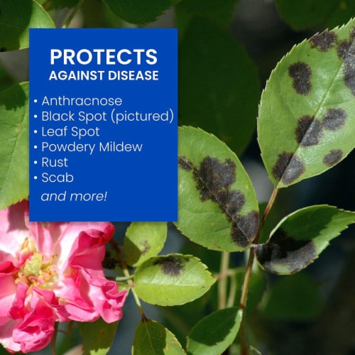 BioAdvanced® 3-in-1Insect Disease & Mite Control Spray Perspective: bottom