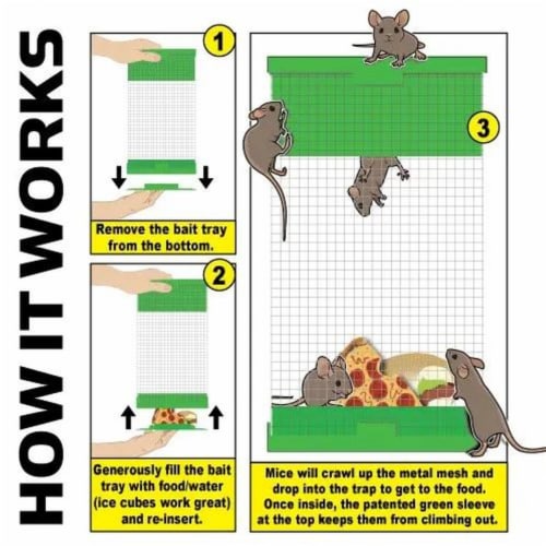 Billy Bob Mouse Trap: Humane Multi-Catch Mouse Trap!, 1 set - Kroger