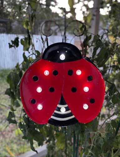 Solar ladybug deals