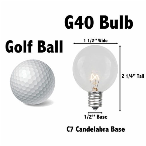 25 Foot G40 Outdoor Globe Patio String Lights Set of 25 G40 Clear Bulbs 1 Each Fred Meyer